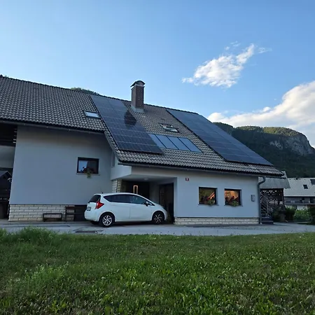 Kamnje Nest Apartma *