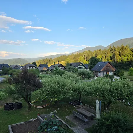Apartma Kamnje Nest Bohinj